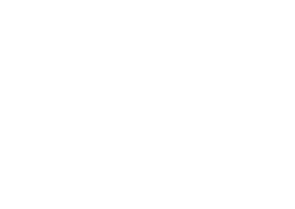 BASS